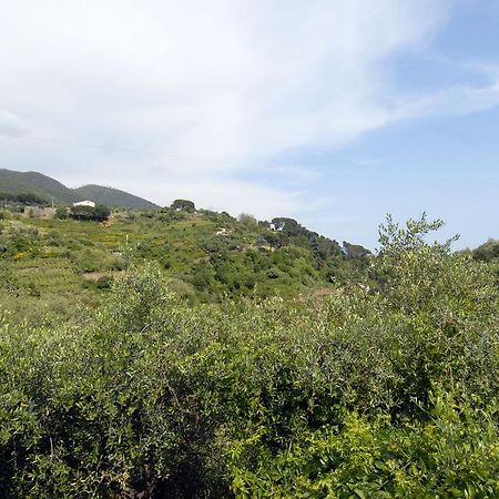 Villa Caribe Affittacamere Monterosso al Mare Exteriör bild